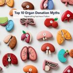 Organ Donation Myth